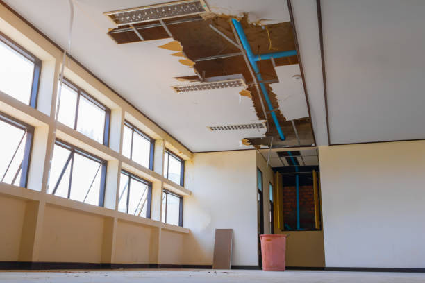 Best Water damage contractors near me  in Stuart, FL