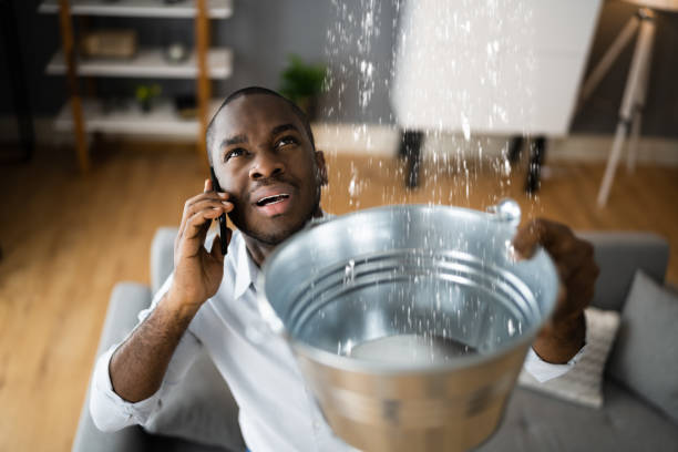 Best Flooded house restoration  in Stuart, FL