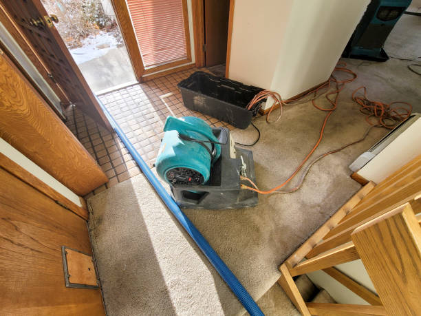 Best Sewage cleanup and water damage restoration  in Stuart, FL