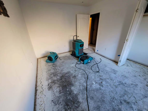 Best Water damage cleanup near me  in Stuart, FL