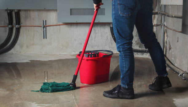 Best Professional water damage repair  in Stuart, FL