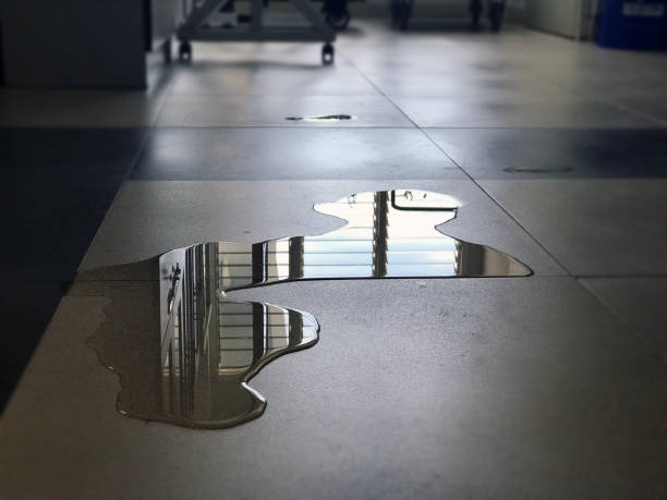 Best Water damage mitigation services  in Stuart, FL