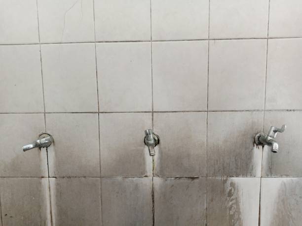 Best Water damage restoration cost  in Stuart, FL