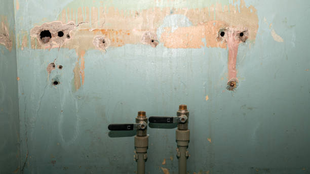 Best Water damage restoration near me  in Stuart, FL