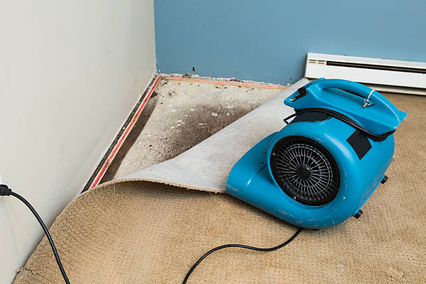 Best Professional water damage repair  in Stuart, FL